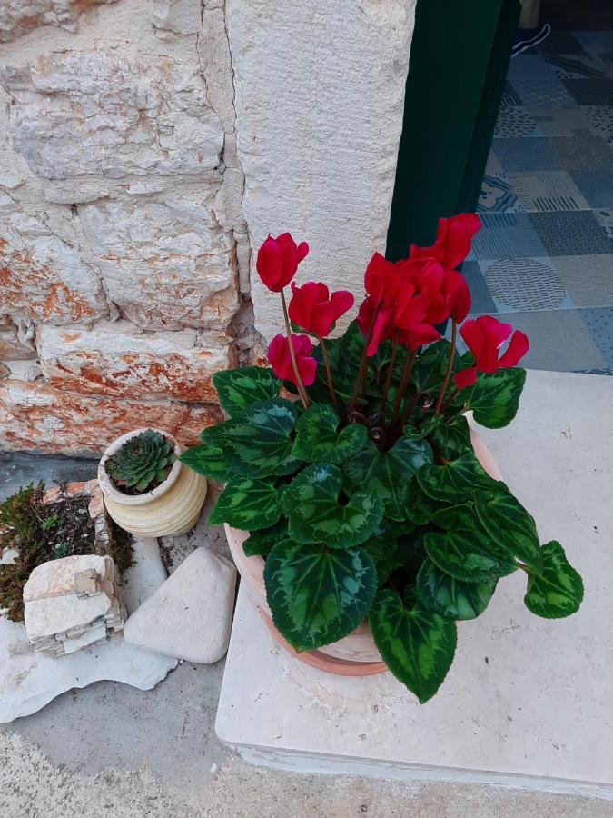 Casa Porta Verde Bale Zewnętrze zdjęcie